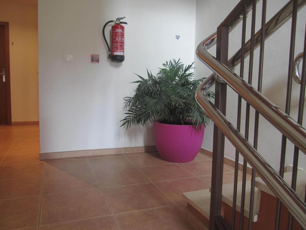 Hostal El Estudio المنسى المظهر الخارجي الصورة